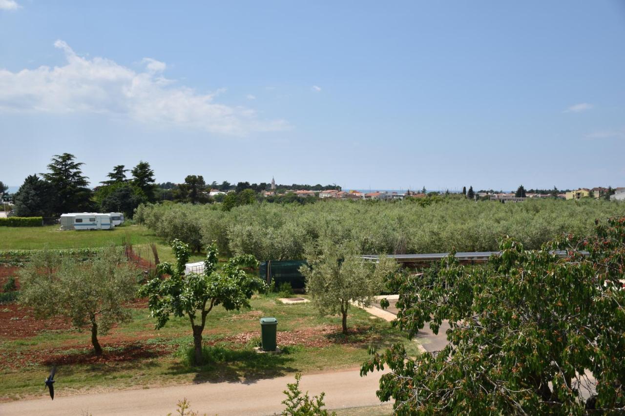 Apartmani Diana Novigrad  ภายนอก รูปภาพ